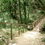 Petit pont au milieu du parc