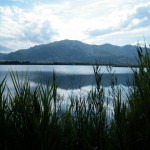 L'étang de Biguglia