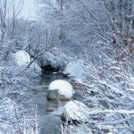 Une rivière coule sous la neige