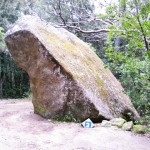 Une pierre signalée d'un petit panneau... dont j'ignore la signification préhistorique