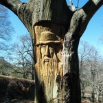 Un arbre sculpté