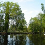Petit tour aux étangs de Vers-le-petit