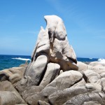 Un rocher sculpté par la mer