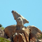 Des rochers sculptés