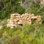 Une bergerie en ruines