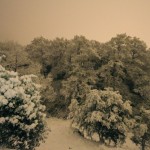 La neige à Biguglia