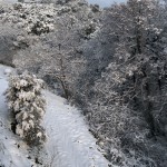 Biguglia sous la neige