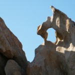Un rocher sculpté