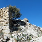 Ruines des châteaux des seigneurs de Balagne