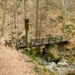 Un petit pont en bois