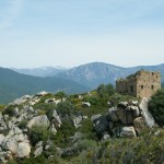 Vue sur les ruines de Capigliolu