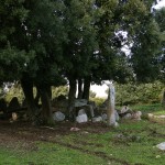 Le site mégalithique de Settiva