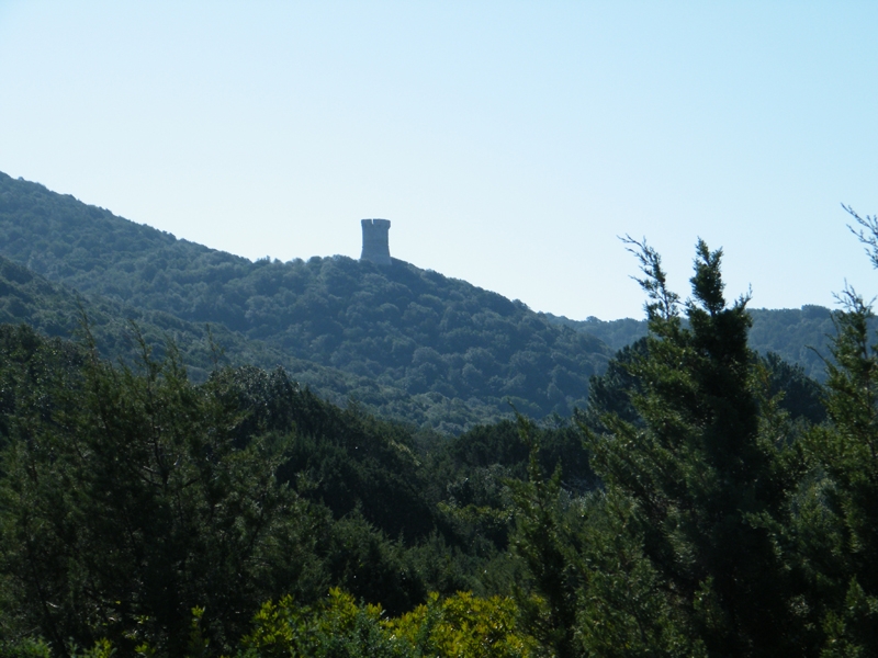 La tour de Capannella