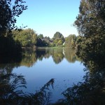 Balade autour du Lac de Savenay