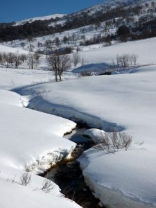 Le ruisseau au Val d'Ese