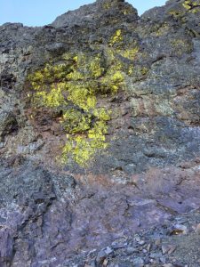 La roche est tâchée de jaune par endroit
