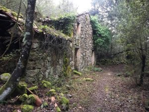 Une ruine à Ucciani