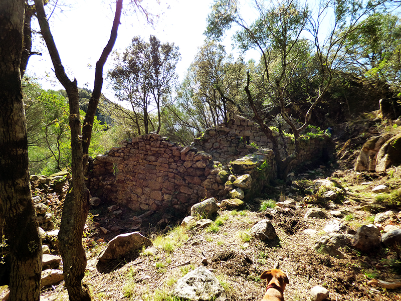 Les ruines du hameau d'Arillavu